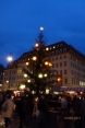 Weihnachtsbaum mit Sternen auf dem Neumarkt