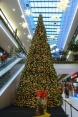 Weihnachtsbaum in der Centrum-Galerie