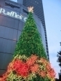 Raffles City Tree