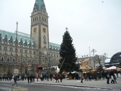 Weihnachsbaum beim Weihnachsmarkt in Hamburg